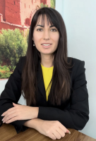 Webinar - Beyond the Tool – Emotional Intelligence in an AI Augmented Project World